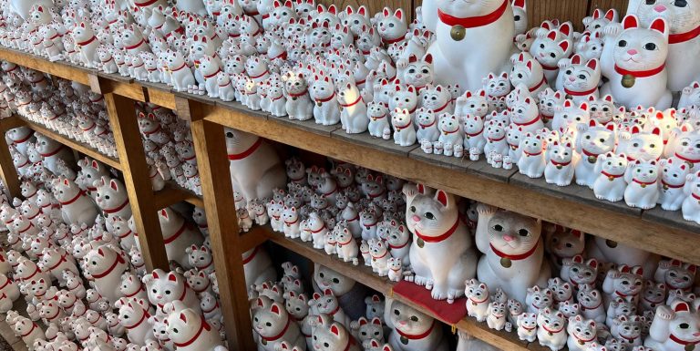 manekineko (2)