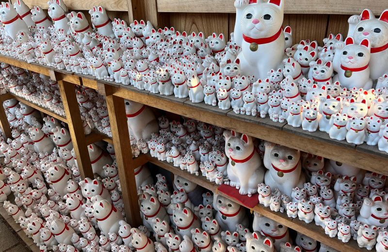 manekineko (2)