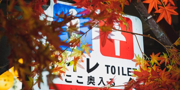 tokyo-toilet