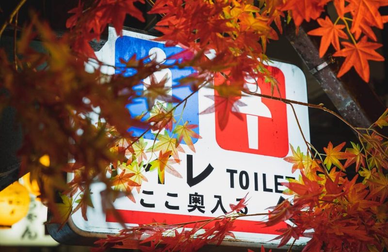 tokyo-toilet